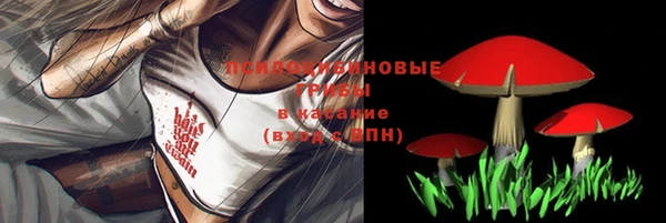 spice Волосово
