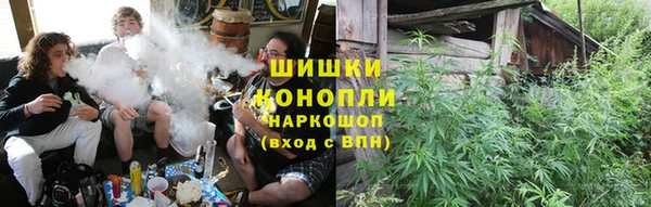 ГАЛЛЮЦИНОГЕННЫЕ ГРИБЫ Волоколамск