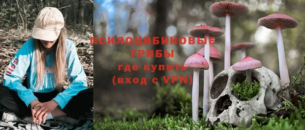 spice Волосово