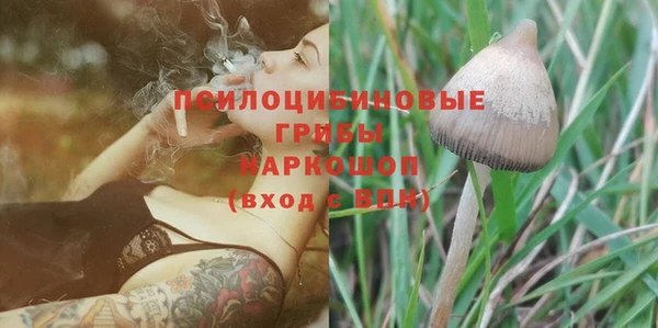 ГАЛЛЮЦИНОГЕННЫЕ ГРИБЫ Волоколамск